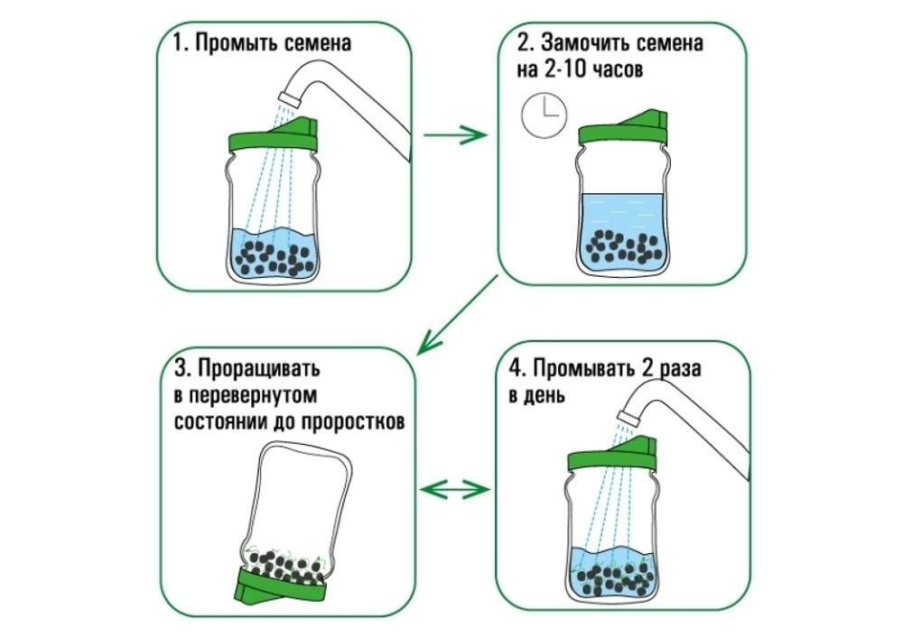 Проращиватель "Крышка-сито"