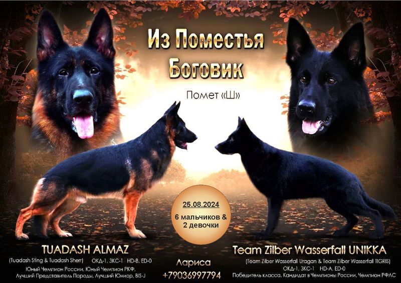 Помет "Ш"