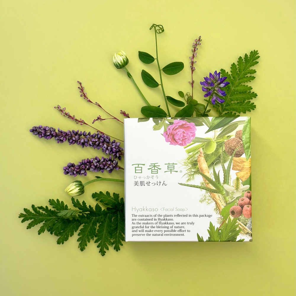 Натуральное мыло для лечения угревых высыпаний Hyakkaso Facial Soap