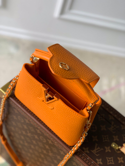 Louis Vuitton Capucines Mini