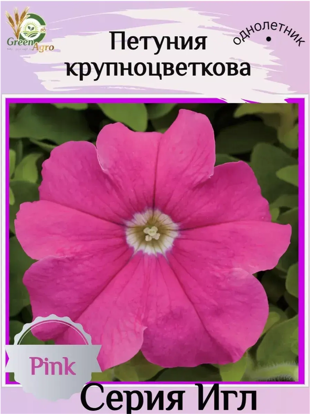 Семена Петуния Крупноцветковая