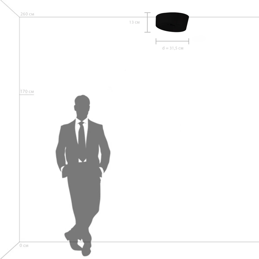 Потолочный светильник Lightstar CELESTA 809356