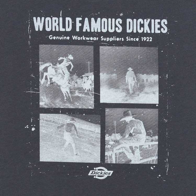 Футболка мужская Dickies Wolfhurst Short Sleeve Tee 
