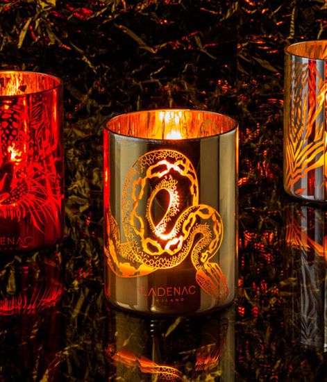Snake, свеча Africa collection, Ladenac Milano