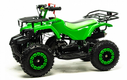 Квадроцикл MOTOLAND (МОТОЛЕНД) SCORPION 50E