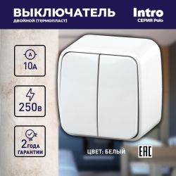 3-104-01 Intro Выключатель двойной, 10А-250В, IP20, ОУ, Polo, белый