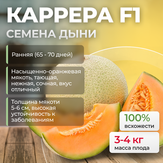 КАРРЕРА F1 семена дыни (Nunhems) культура – фото 1