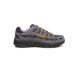 Кроссовки Nike P-6000 Premium CORDURA "Medium Ash/Golden"