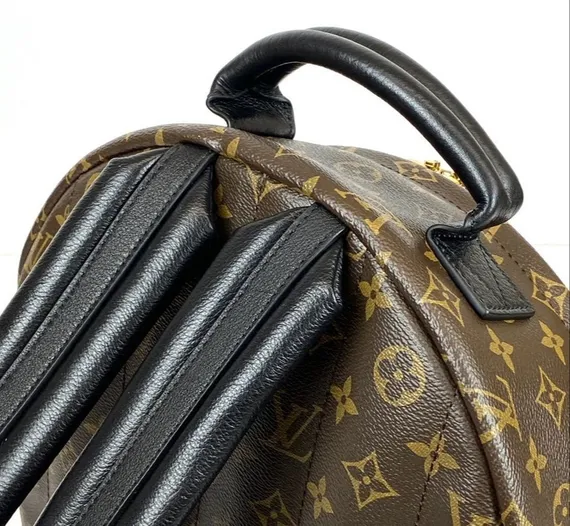 Рюкзак Louis Vuitton Palm Springs PM коричневый