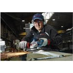 Шлифмашина угловая Bosch GWS 19-125 CIE (60179P002)