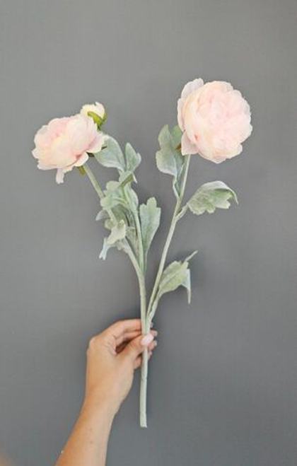 Ранункулюс / Арт 2263