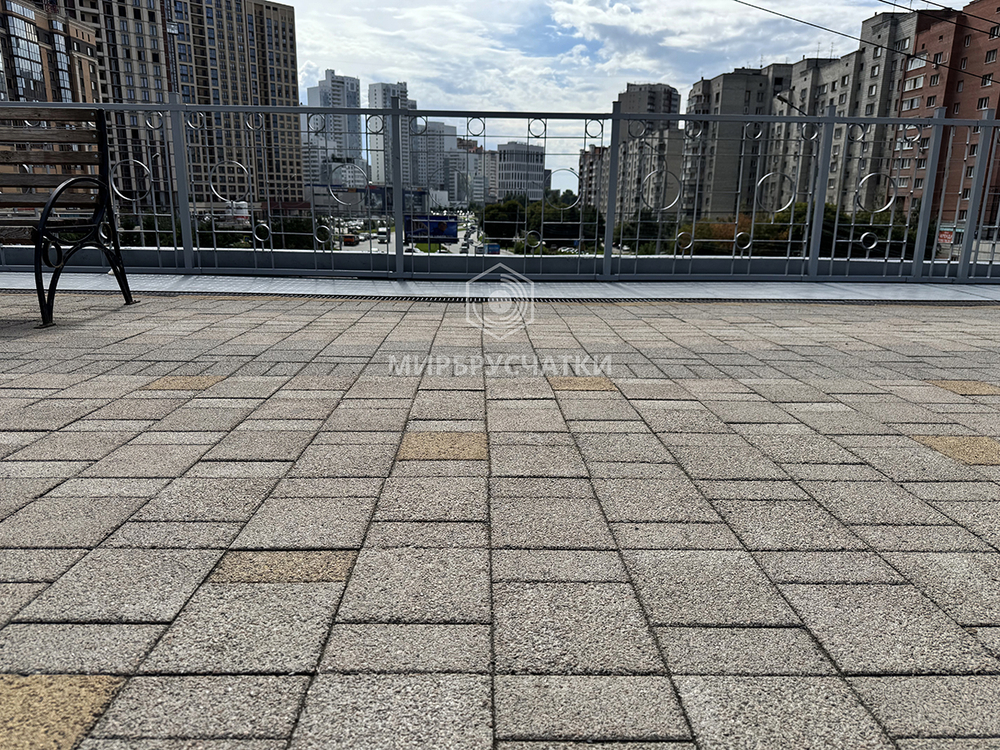 Сибревкомовский мост, г. Новосибирск
