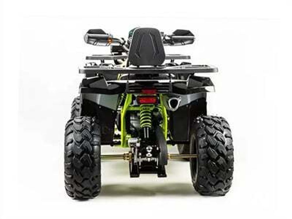 Квадроцикл MOTOLAND 200 WILD TRACK PRO