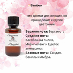 Prof-Royal отдушка парфюмерная Bamboo для свечей, мыла и диффузоров, 100 мл