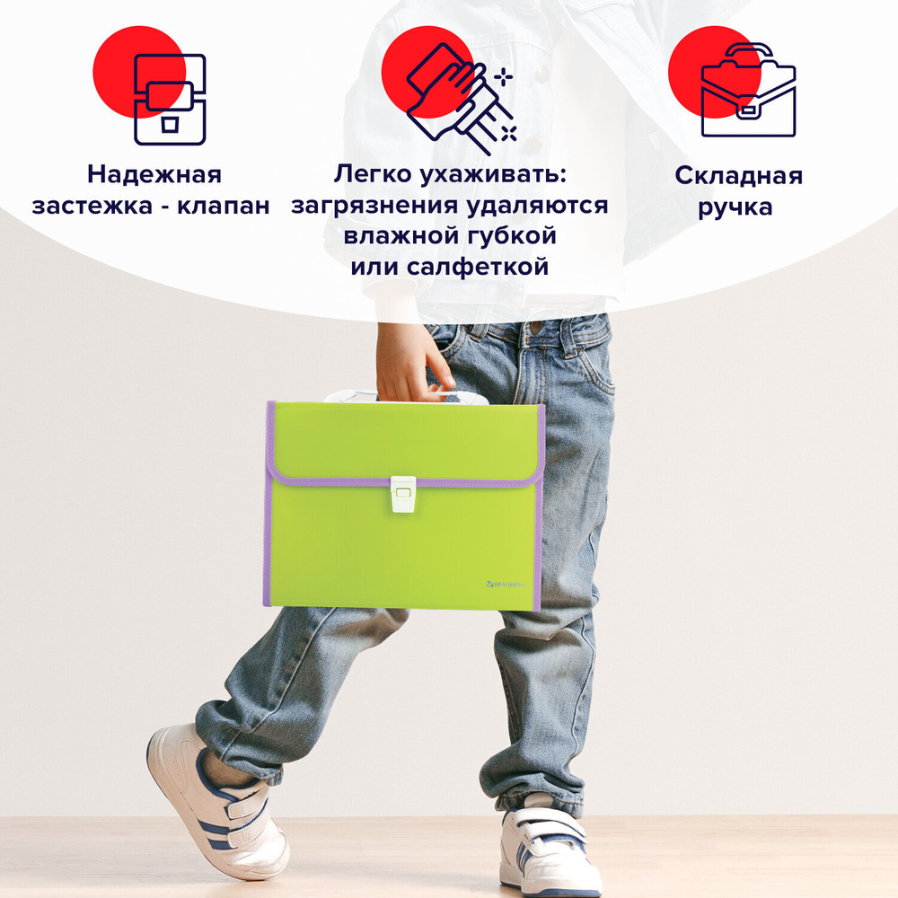 Папка-портфель пластиковая BRAUBERG "JOY" А4 (330х245х35 мм) 13 отделений с окантовкой салатовая (2 штуки в упаковке)