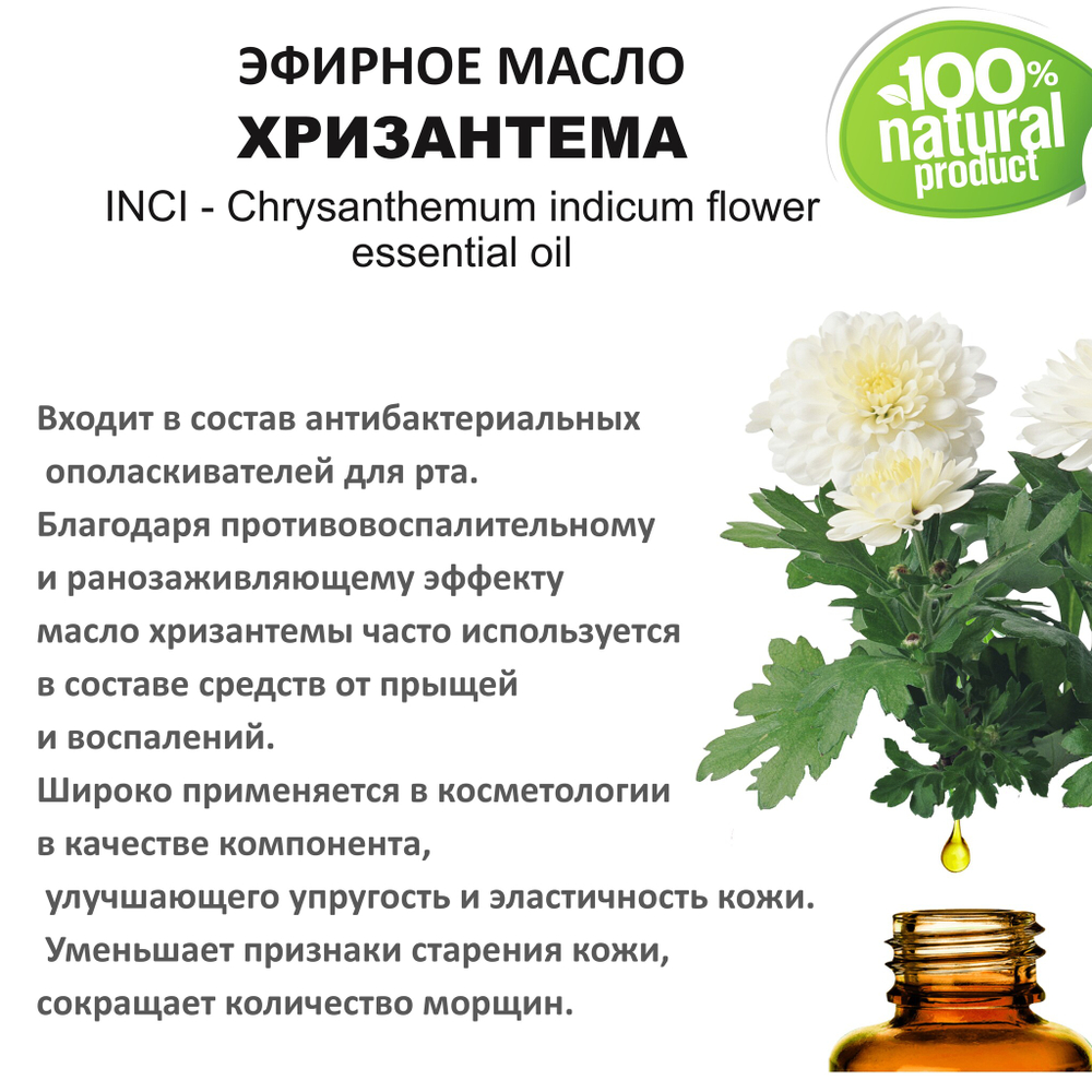 Эфирное масло хризантемы / Chrysanthemum indicum flower essential oil