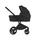 Коляска 2 в 1 ANEX Flo Lungo