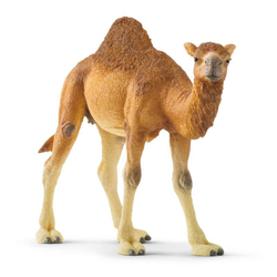 Schleich - Верблюд-дромадер 14832