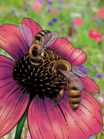 Экосистема