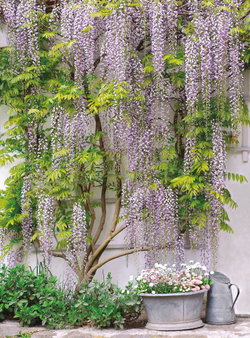 Коллекция Города и страны