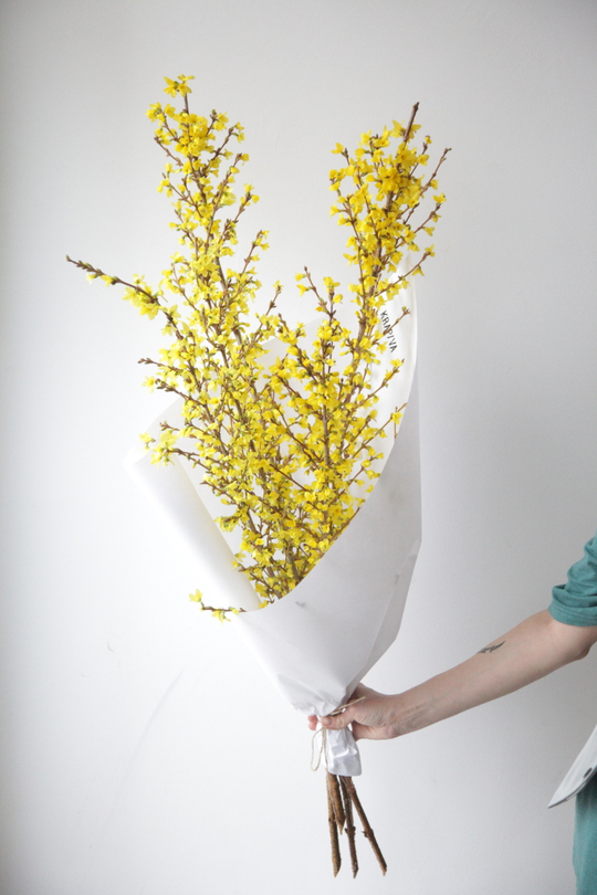 Монобукет Форзиция