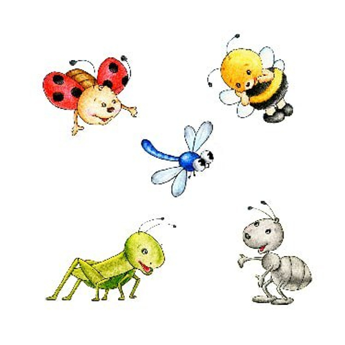 Детские №38 Фотообои и Фрески