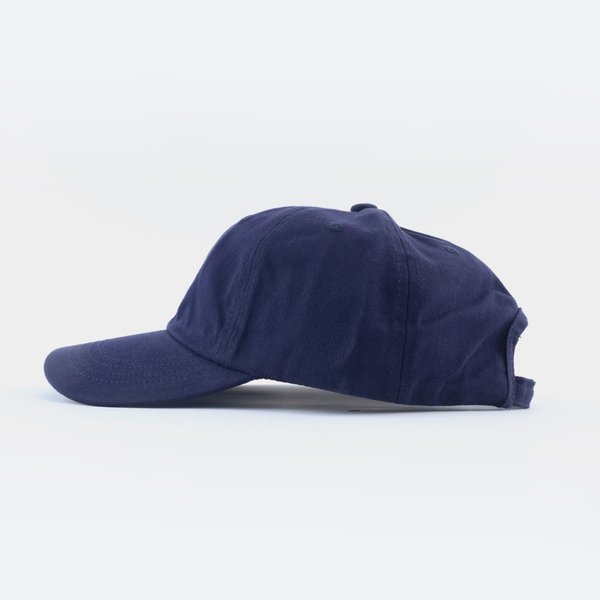 Кепка Anteater 6Panel (navy) артикул: - купить в магазине Дайс