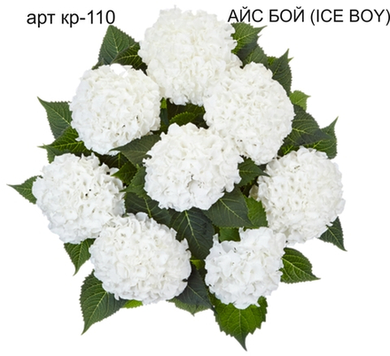 ICE BOY/ АЙС БОЙ (Стандарт поставки Р9)2025г.