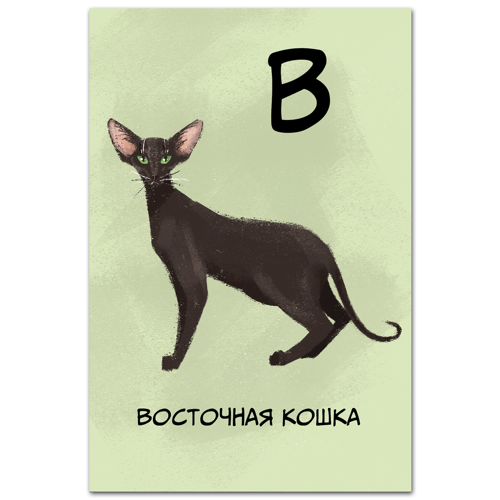 Восточная кошка (Ориентал)