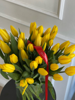 АКЦИЯ тюльпан - классика ЖЕЛТЫЙ