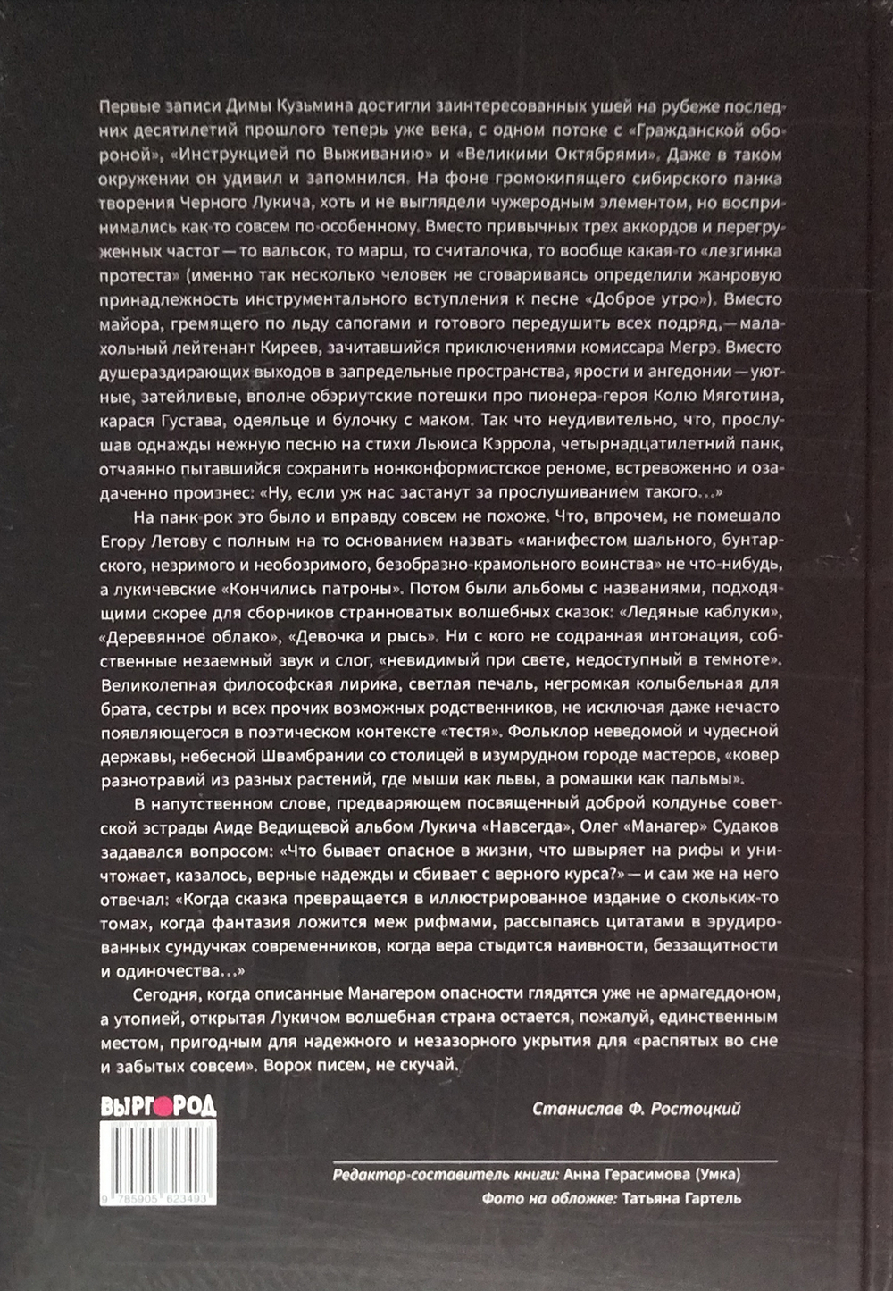 Большая Димкина Книга. Чёрный Лукич и друзья / Анна Герасимова