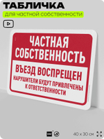 Табличка для частной территории "Частная собственность, въезд запрещен", на дом, для участка, организаций, предупреждающая, 40х30 см, Silver Plane x Айдентика Технолоджи