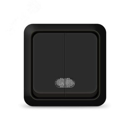 Выключатель двухклавишный с подсветкой UNIVersal "Олимп", о/у, 10А, 220В, черный (1/200)