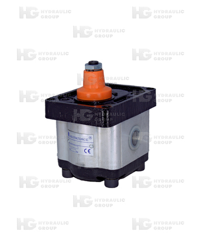 Насос шестеренный 2 GR C8X2T1-B 250 bar