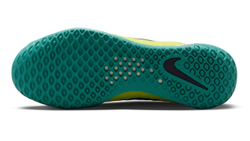 Мужские кроссовки теннисные Nike Zoom Court NXT HC - разноцветный