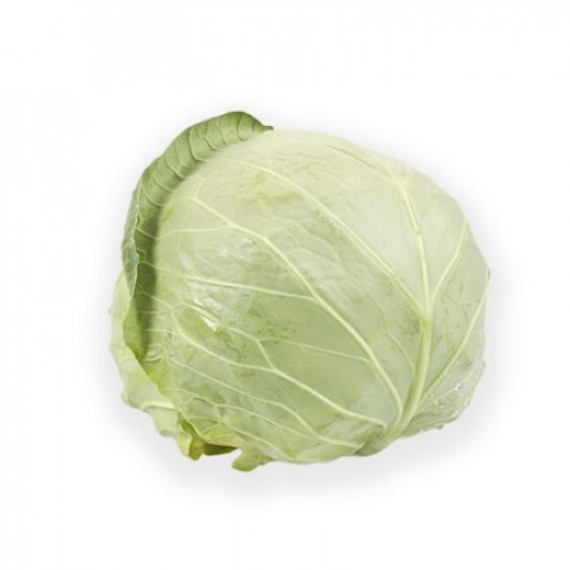 Лемма F1 семена капусты белокочанной – фото 2