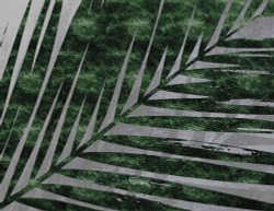 SELVA 31