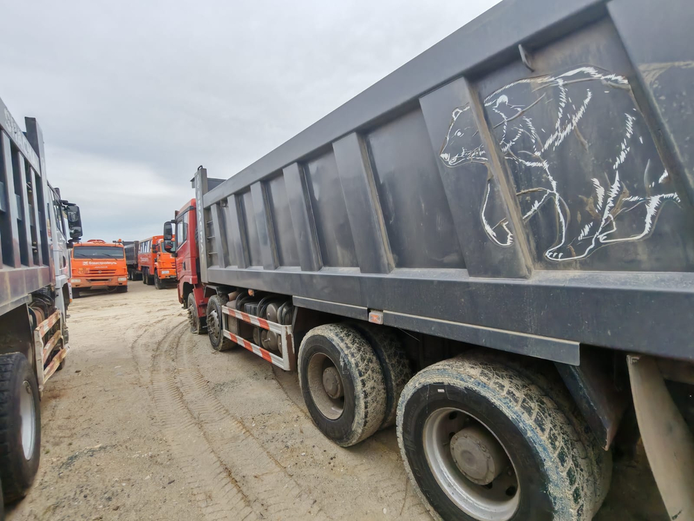 Shacman (Shaanxi) SX* 8x4 Самосвал SX331863366 (Дизельный, 12,5 л, 544 л.с., МТ)