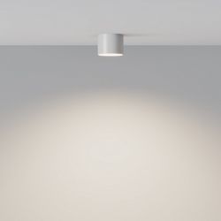 Накладной светильник Maytoni Glam C096CL-GX53-W