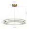 SL6245.203.01 Светильник подвесной ST-Luce золотистый/Прозрачный LED 1*40W 4000K FAGY