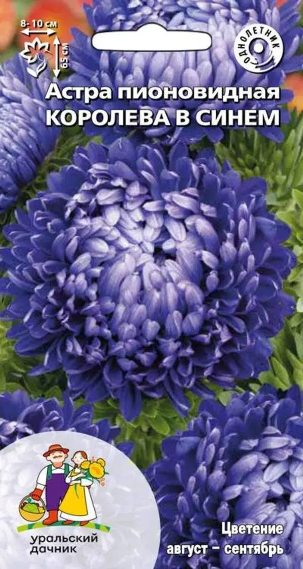 Семена Астра пионовидная Королева в синем (УУ) Ц/П