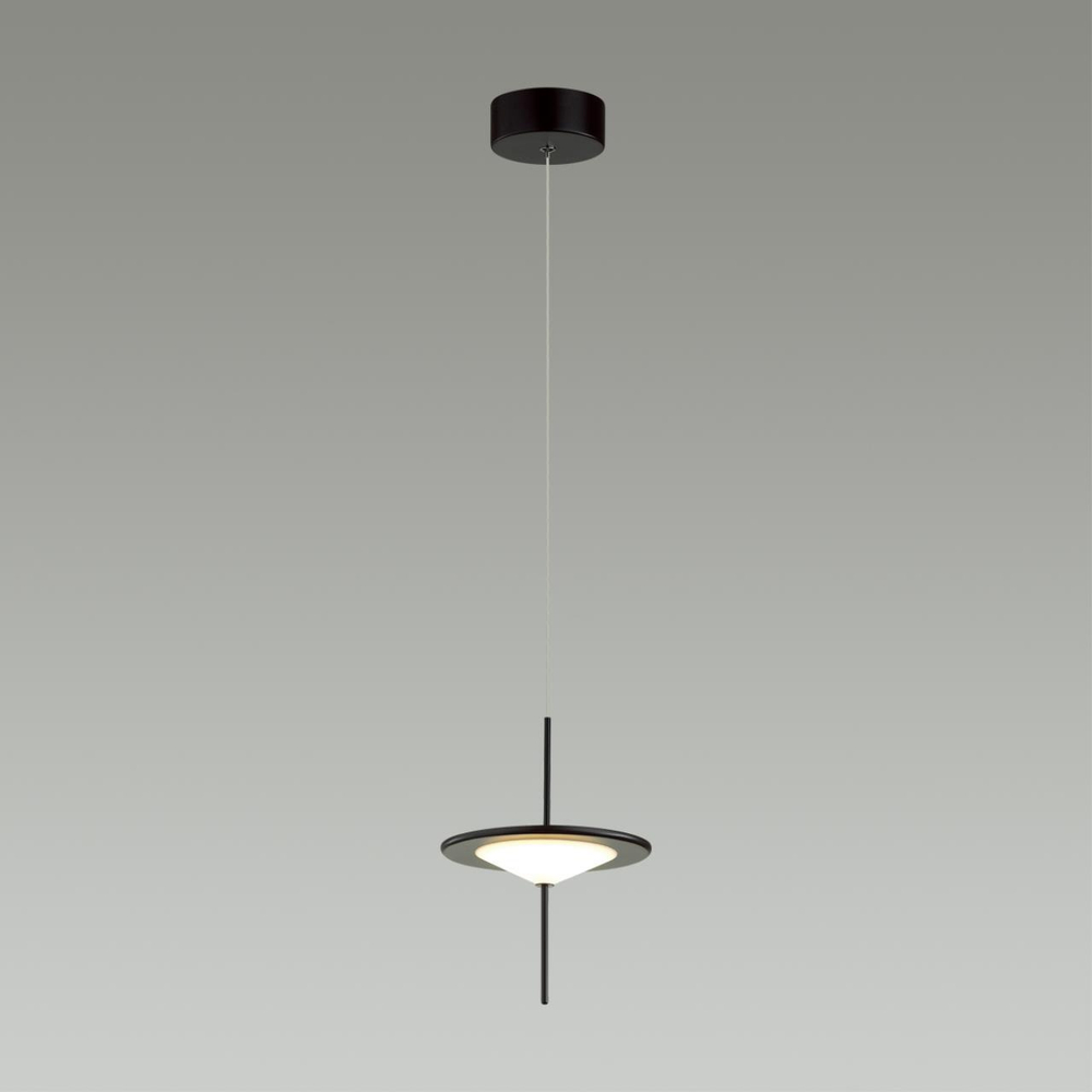 Подвесной светодиодный светильник Odeon Light STEKA 5012/10L