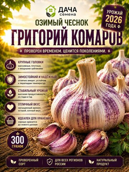 Семенной чеснок Григорий Комаров 300 г, озимый, посадочный материал для посадки, урожайный сорт