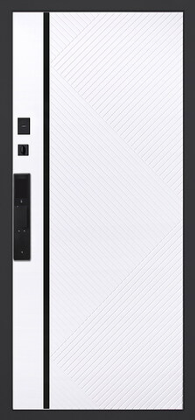 Стальная дверь "Гавана" (биометрический замок). Заказная модель.