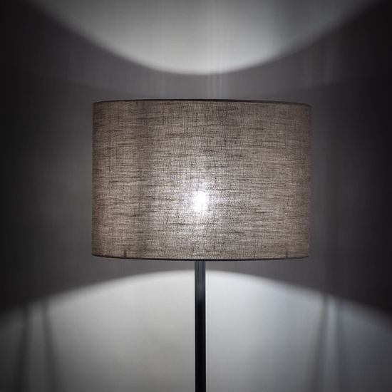 16012/ напольный светильник /  Earth