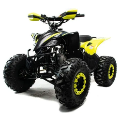 Квадроцикл MOTOLAND (МОТОЛЕНД) 125 RAPTOR A