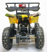 Электроквадроцикл Green Camel Гоби K21 (36V 800W R6 Цепной привод)