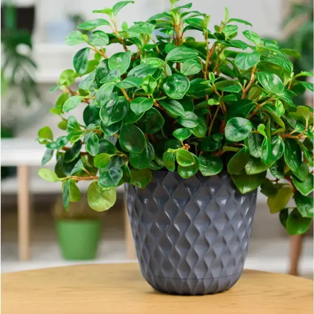 Горшок для цветов пластиковый 4,7л d-20,5см «Wave» с дренажной сеткой и съемным поддоном, вулканический серый