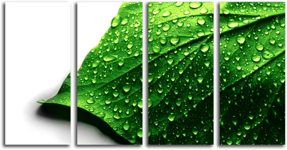 Модульная картина "Мокрый лист"