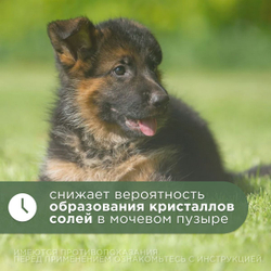 Капли урологические для профилактики и лечения МКБ, острых и хронических заболеваний мочевыводящих путей и почек АВЗ Уролекс для собак, 50 мл